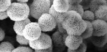 Metal oxide nanoparticles
