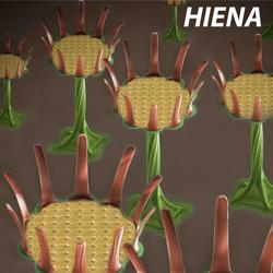 HIENA2 s