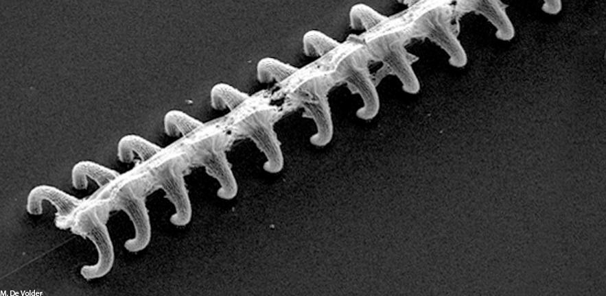 3D Amorphous Carbon Nanowire Network