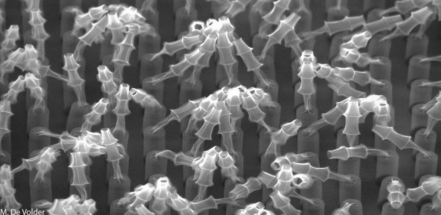 Carbon Nanotube Bamboo forest