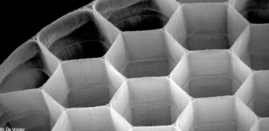 Carbon Nanotube Honeycomb