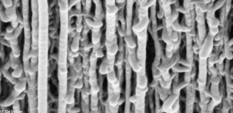 CNT  Metal Coatings