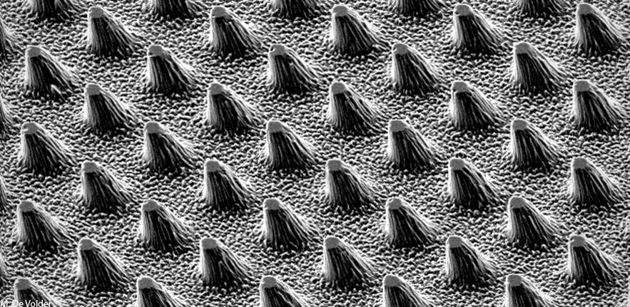 Etched Glassy Carbon