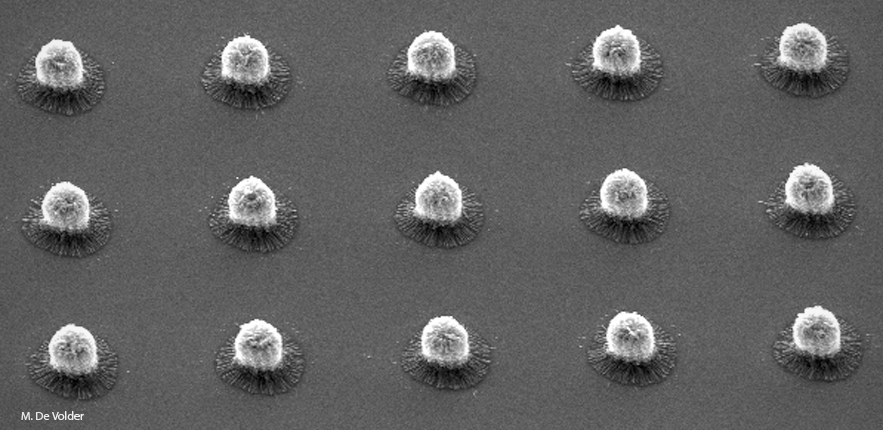 Patterned amorphous carbon nanowires