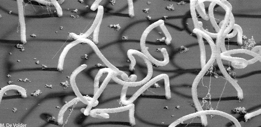 Au coated nanotubes
