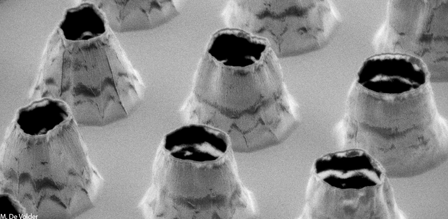 Carbon nanotube cones coated with Au