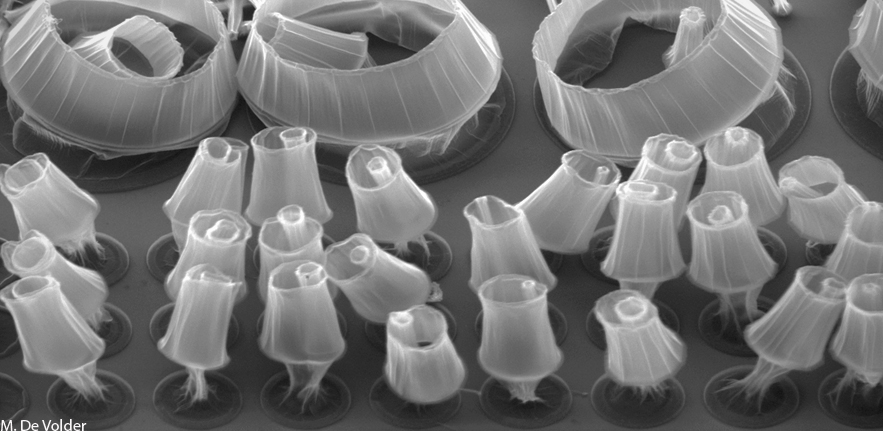 Carbon Nanotube Mushrooms