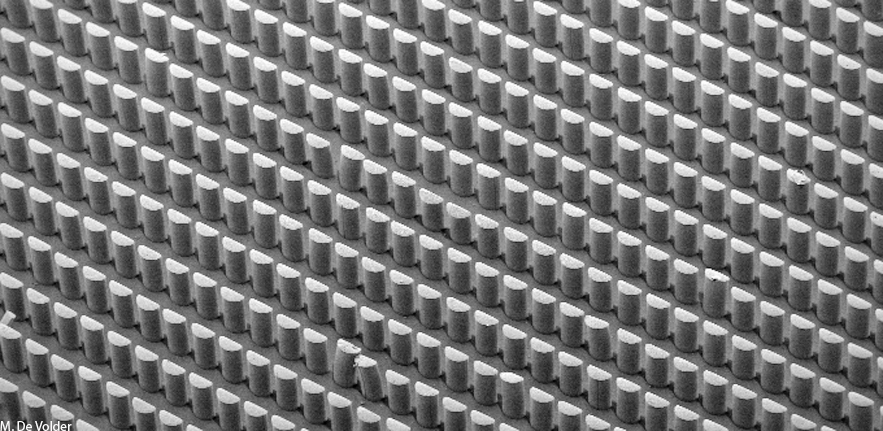 Carbon nanotube pillar array
