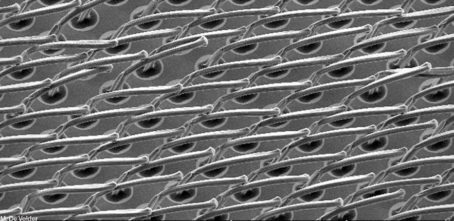 Carbon nanotube grass