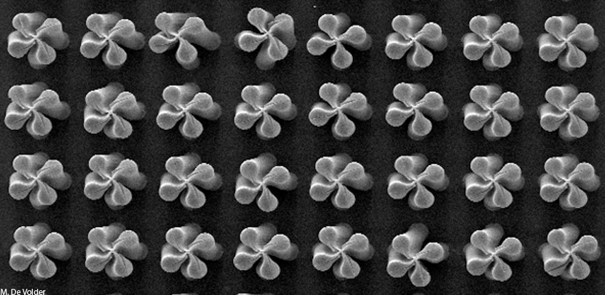 Carbon nanotube clovers