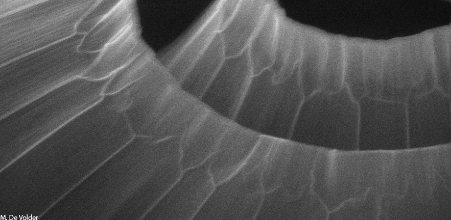 Wrinkles on the surface of capillary aggregated CNT structures