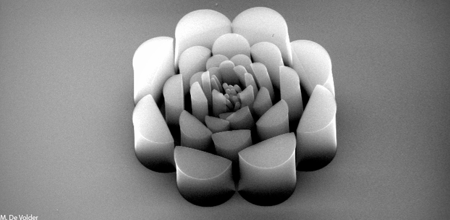 Carbon Nanotube Flower