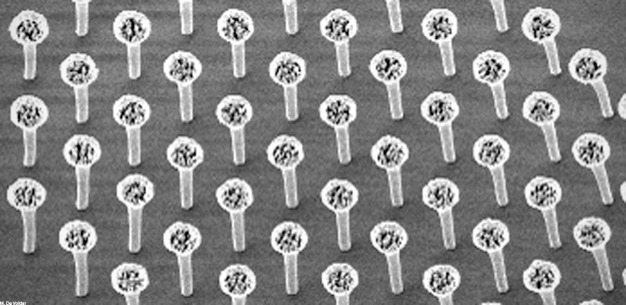 Polymer Nanowire Mushrooms