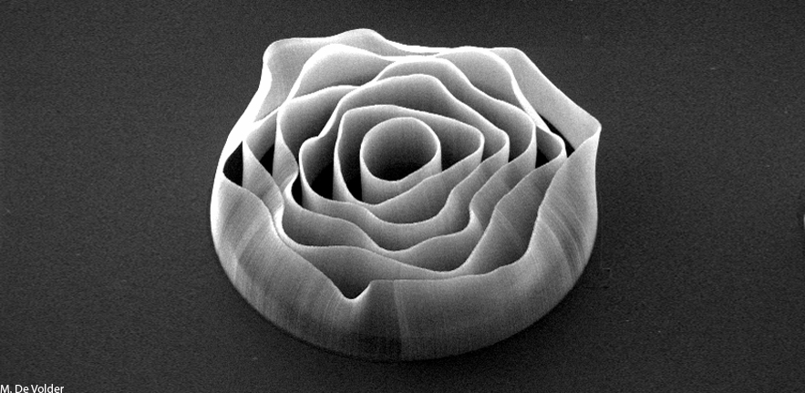 Carbon nanotube rose