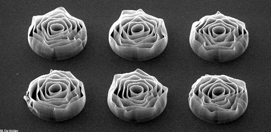 Carbon nanotube roses