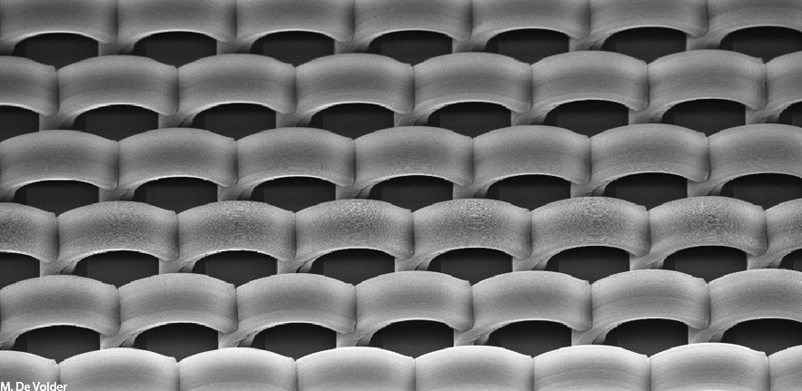 Carbon Nanotube Bridges