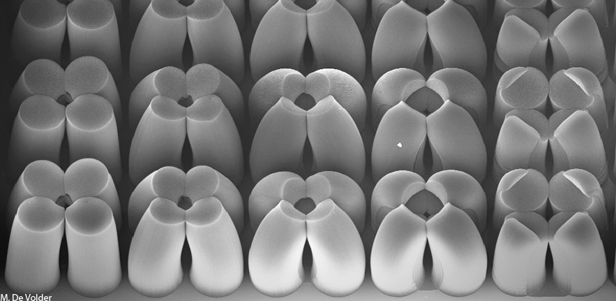 Carbon Nanotube Domes