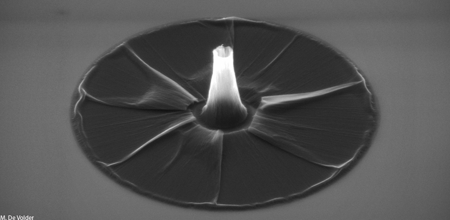 Carbon Nanotube Flower