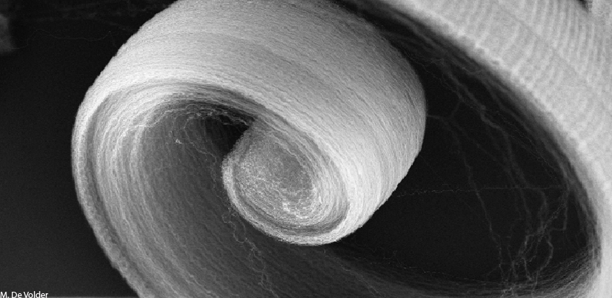 Carbon Nanotube Spiral (2)
