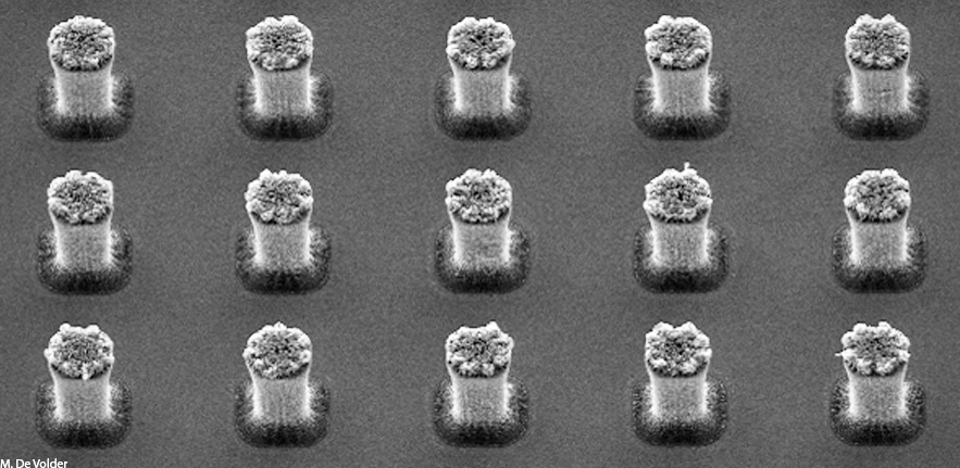 Micropillars made  out of Amorphous Carbon Nanowires