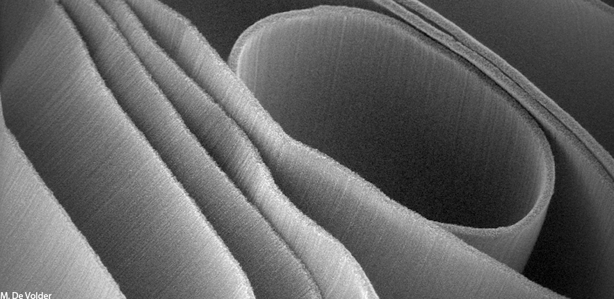 Nanotube Shells