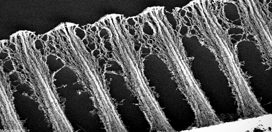 Polymer Nanowires (2)