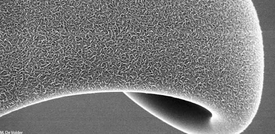 Amorphous Carbon Coated with Graphene S