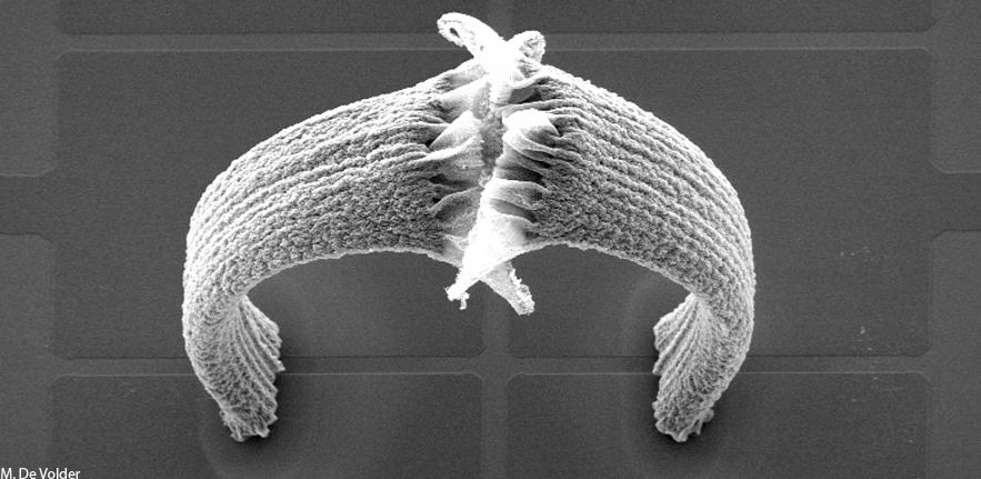 Amorphous Nanowire Bundles  Forming a Microbridge