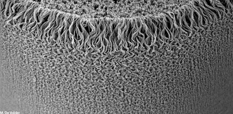 Amorphous Nanowire Pillar