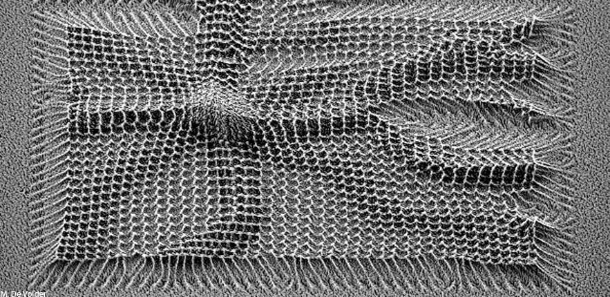 Capillary Collapsed Amorphous Carbon Nanowires