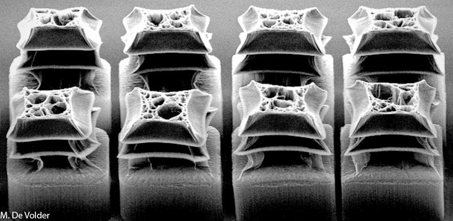 Carbon Nanotube Temples