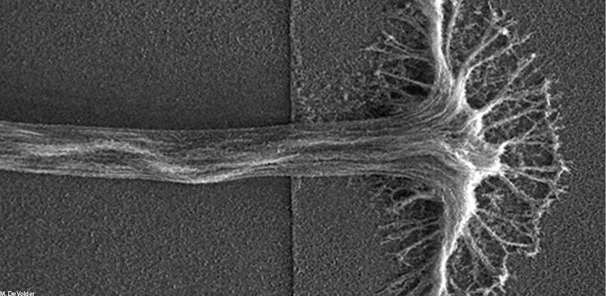 Carbon Nanotubes Coated with Graphene 2