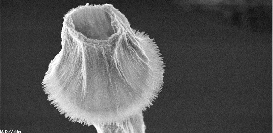 Microflower Made out of Nanotubes