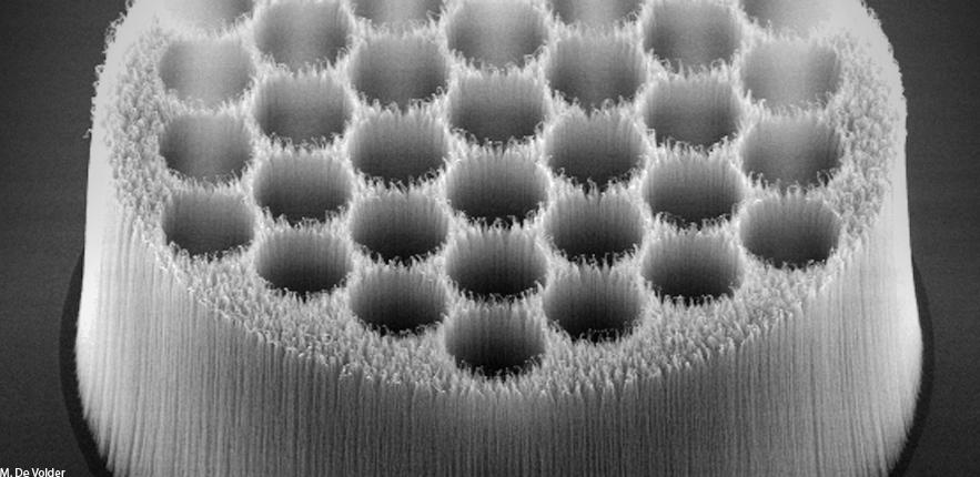Plasma Etched Carbon Nanotube Structure
