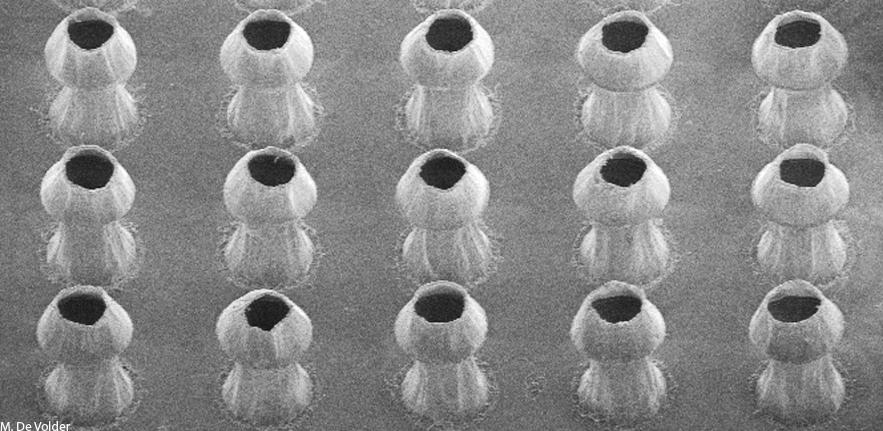 Polymer Coated Carbon Nanotube Mushrooms