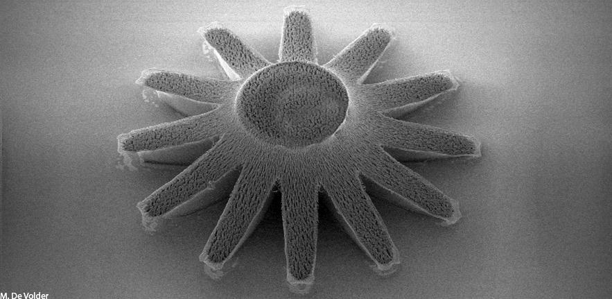 Polymer Nanowire Starfish