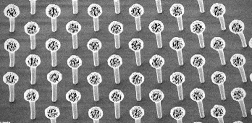 Polymer Nanowires