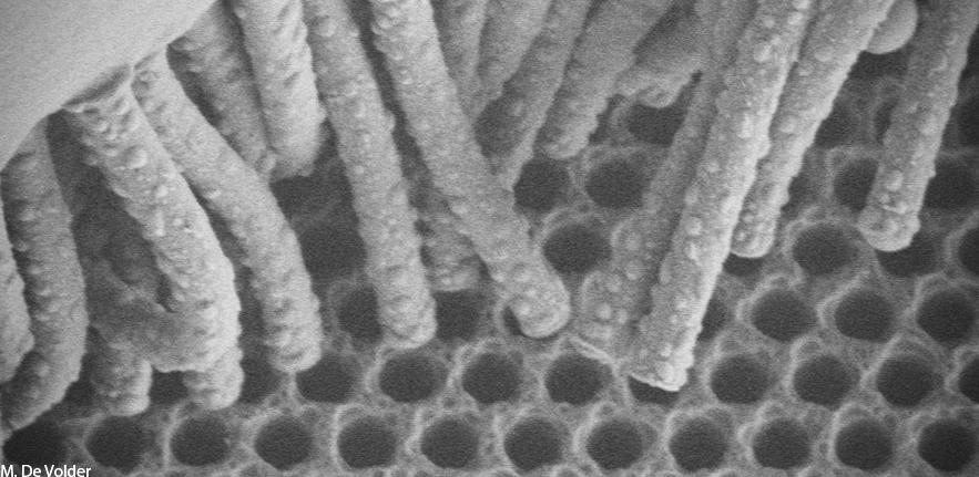 Rubber Nanowires